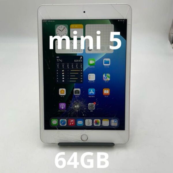 iPad mini5 64GB A2124 キャリアKDDI