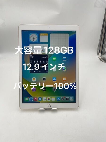 iPad Pro 12.9インチ A1584 128GB
