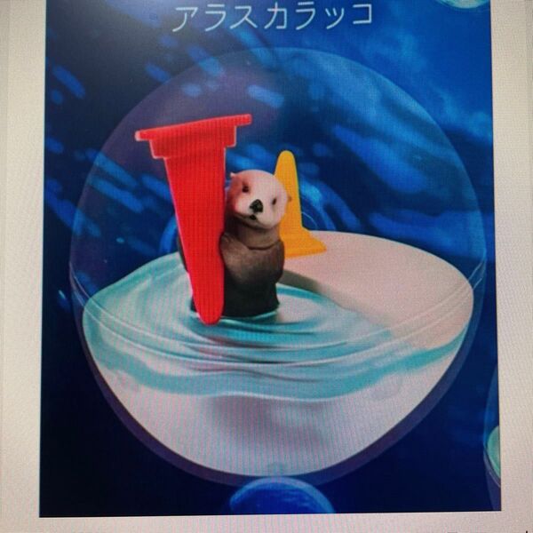 鳥羽水族館限定 アラスカラッコ カプリウムコレクション ガチャ