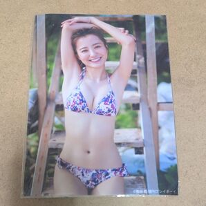 高田里穂 生写真 2L判 週刊プレイボーイ 特典 水着 週プレ