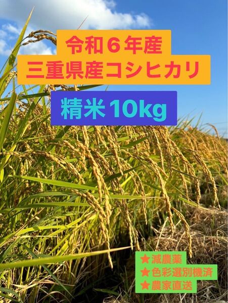 令和6年産 専業農家の三重県産コシヒカリ 10kg 精米(白米) 産地・農家直送