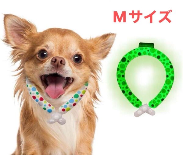 特価!新品【夜光効果】犬用 ネッククーラー Mサイズ クールリング 熱中症対策