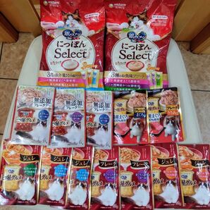 最終値・銀のスプーンにっぽんセレクトとろリッチ108g×2種類2袋+三ツ星グルメ35gジュレ・フレーク12袋セット未使用未開封。