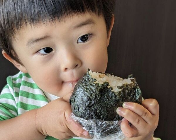 20キロ■令和6年新潟県従来コシヒカリ 落札後精米 籾殻保管 特A獲得農家からの直送