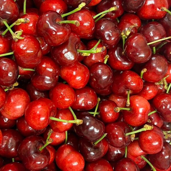 初売り アメリカチェリー 大粒 9号 欲張り お得2kg 美味しい チェリー さくらんぼ
