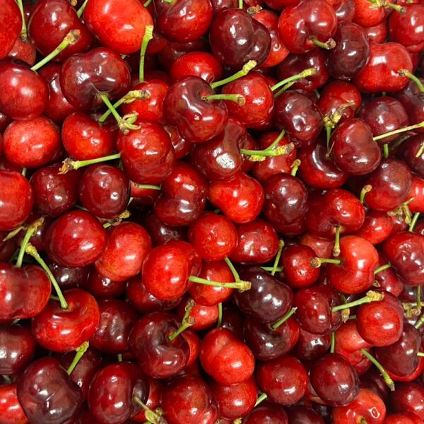 初売り 大量 アメリカチェリー 大粒 9号 欲張り お得4kg 美味しい チェリー さくらんぼ パーティー 贈り物