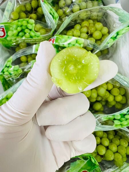 訳あり ぶどう グリーンぶどう 美味しい 増量発送中 3Kg シャインマスカット?
