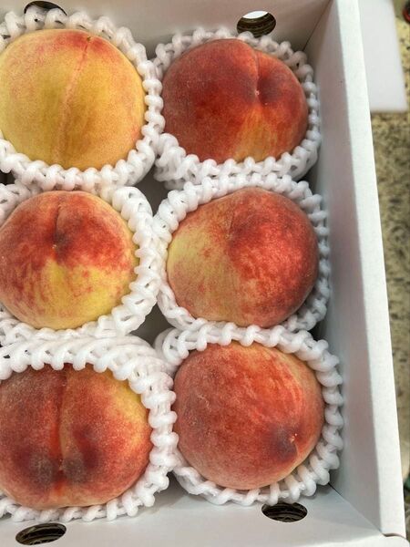 桃 モモ 1ケース 美味しいフルーツ