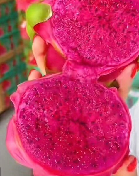 赤ドラゴンフルーツ みずみずしくて甘い!レッドドラゴンフルーツ 美容 健康におすすめ 4個 甘い 新鮮 輸入フルーツ