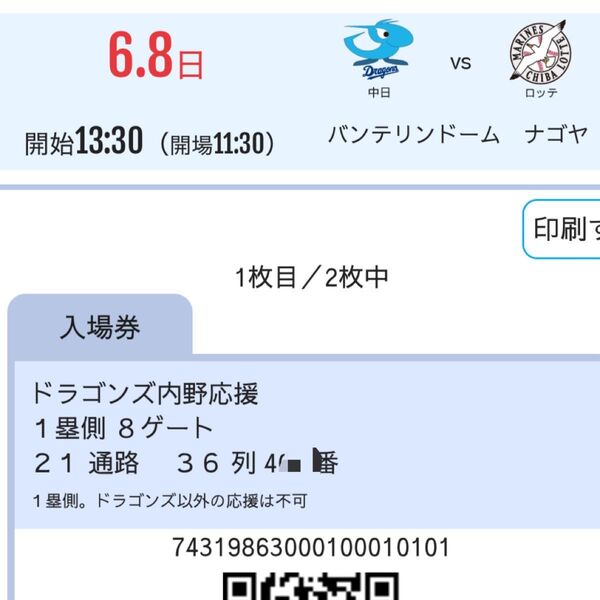 6月8日(日) 中日ドラゴンズ 対千葉ロッテマリーンズ ドラゴンズ 内野応援席 ペアチケット セ・パ交流戦