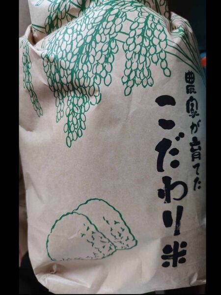 宮城県産 ひとめぼれ 玄米10キロ 新米
