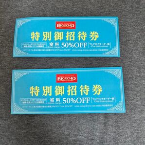 カラオケ ビッグエコー 特別御招待券 2枚 使用期限2025.7.31