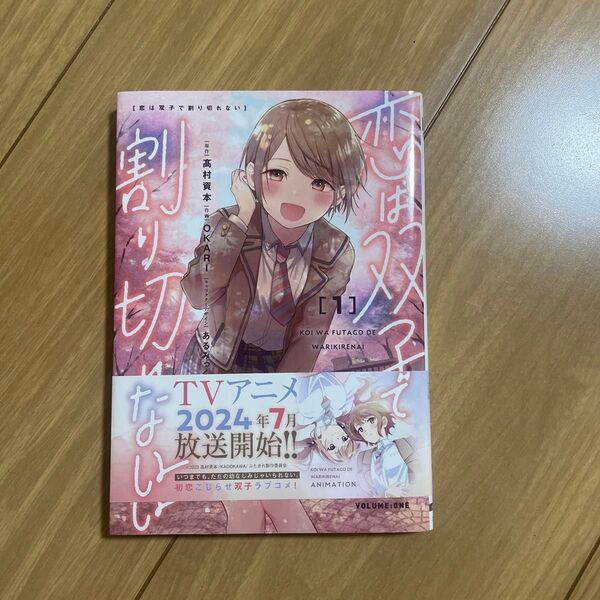 恋は双子で割り切れない 1 (電撃コミックスNEXT N494-01) 高村資本/原作 OKARI/作画 あるみっく/