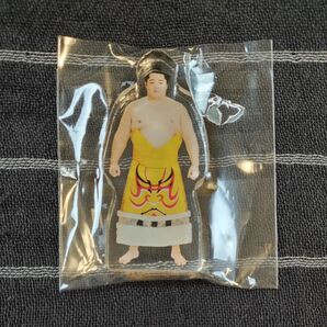 遠藤 アクリルスタンド 大相撲