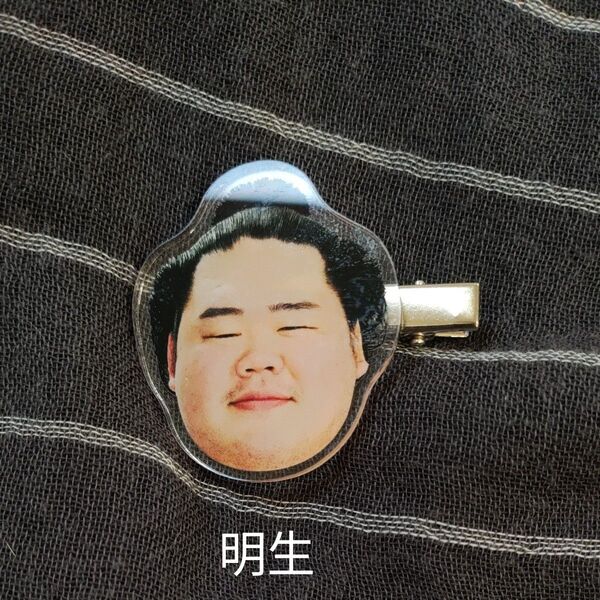 明生 アクリルヘアクリップ 大相撲
