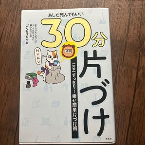 30分片づけ