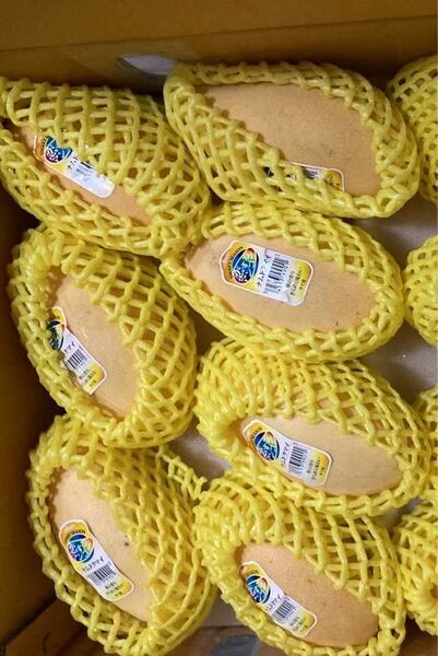 572数量限定タイ産フレッシュ ナムドクマイマンゴー金芒7玉入り