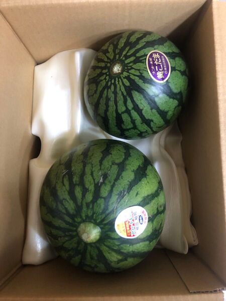 40.数量限定薄皮小玉黄肉クリーム西瓜1玉+小玉赤肉西瓜1玉箱込み約2.3kg前後