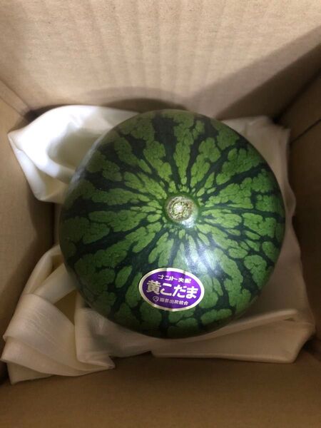 74.数量限定希少黄肉小玉西瓜スイカ1玉入り