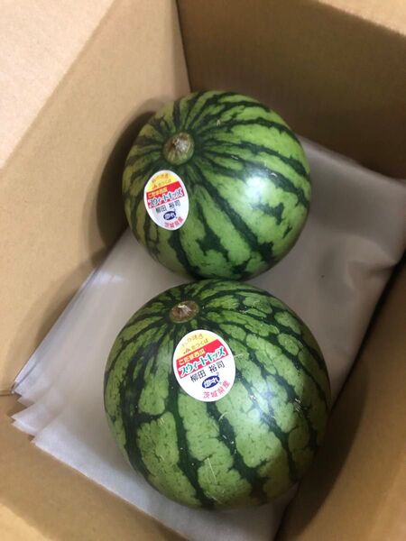 75.数量限定小玉西瓜 小スイカ2玉入り