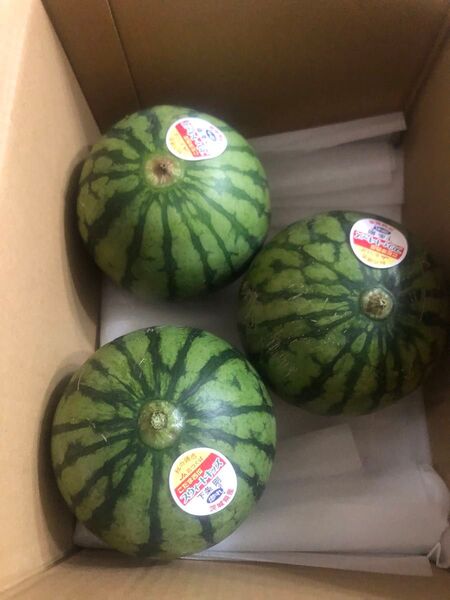 77.数量限定 小玉西瓜 スイカ3玉入り箱込み2Kg前後