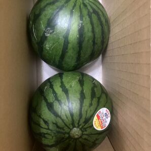 80.数量限定小玉西瓜 小スイカ2玉入り