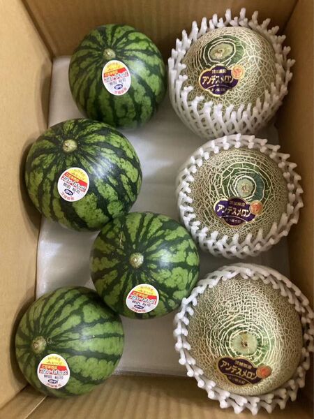 107.早勝ちお買い得数量限定小玉すいか4玉+青肉メロン3玉入り箱込み約4kg