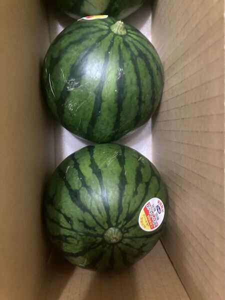 341.数量限定小玉西瓜 小スイカ2玉入り