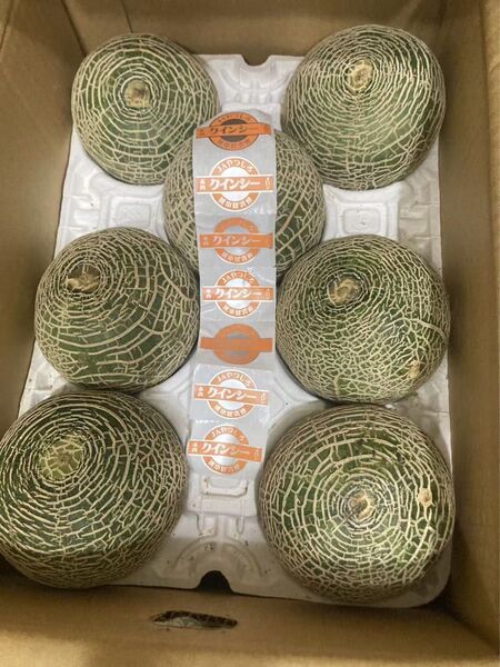 345.数量限定 赤肉メロン秀品6-8玉入り満杯