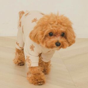 gelato pique ジェラートピケ 【販路限定商品】ベア柄リブハイネックロンパース Sくま柄ベージュ 新品未使用S