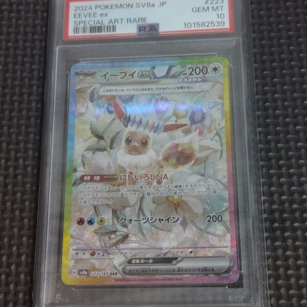 テラスタルフェスex イーブイex 223/187 SAR PSA10