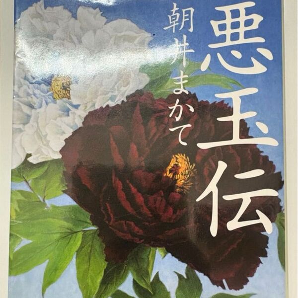 悪玉伝 あくだまでん 朝井まかて 角川文庫