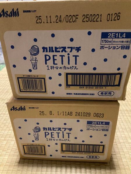 ラスト 2箱 セット カルピス プチ PETIT ポーション容器