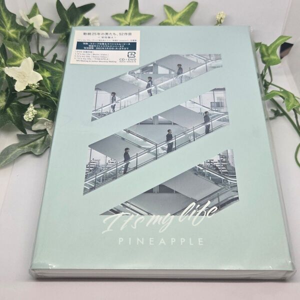 AA29 V6 初回盤A CD+DVD It's my life/PINEAPPLE 25周年 特捜9 主題歌