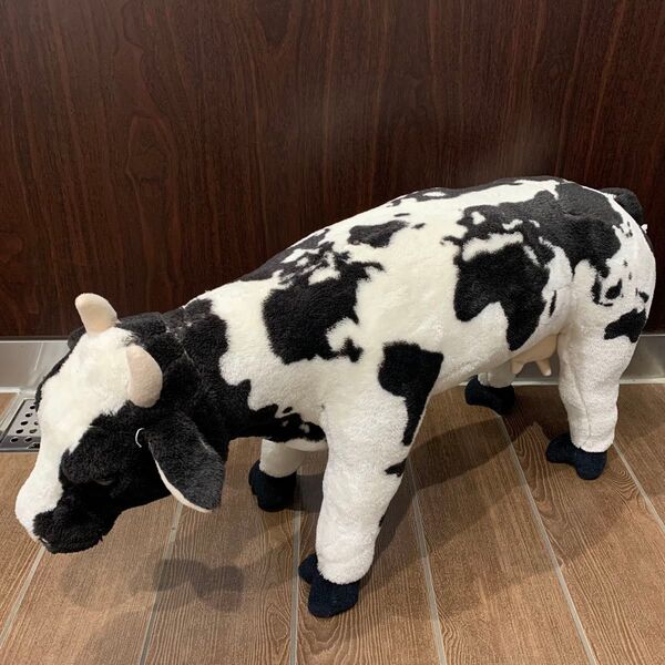 【本日限定価格】スツール オットマン 椅子 イス チェア ベンチ 腰掛け アニマル 動物 牛 ウシ 世界 地図
