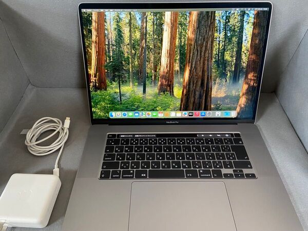 美品 MacBook Pro 16インチ 1TB /32GB /A2141 /2.4GHZ/core i9/8コア