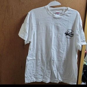 dustboxTシャツ MELODIC PUNK ROCK LOVER 1999
