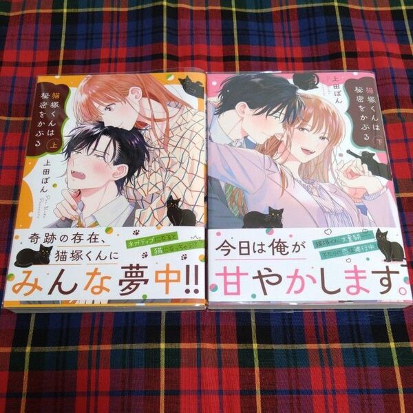 猫塚くんは秘密をかぶる 下 (CITR COMICS) 上田ぽん/著BLコミック