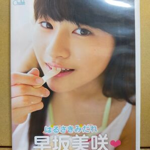 早坂美咲/はるさきみだれ