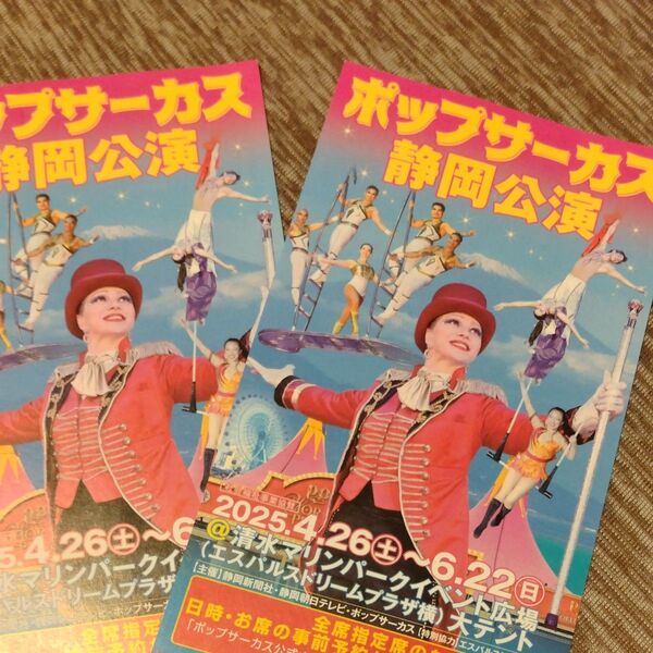 ポップサーカス 静岡公演 入場券