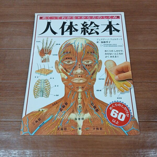人体絵本 めくってわかるからだのしくみ しかけ絵本