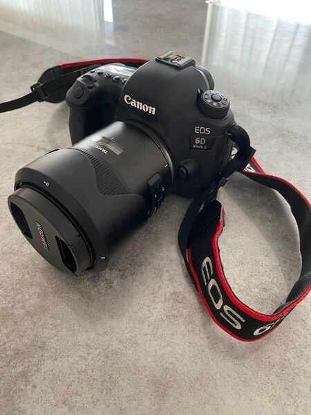 【超極美品・使用わずか】Canon EOS 6D Mark II 本体+バッテリー3個+充電器/防湿庫保管・シャッター約4200回