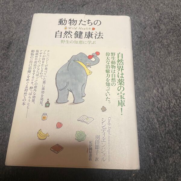 動物たちの自然健康法 野生の知恵に学ぶ シンディ・エンジェル/〔著〕 羽田節子/訳