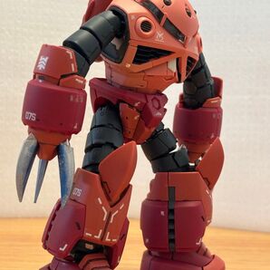 RG ズゴック シャア 完成品