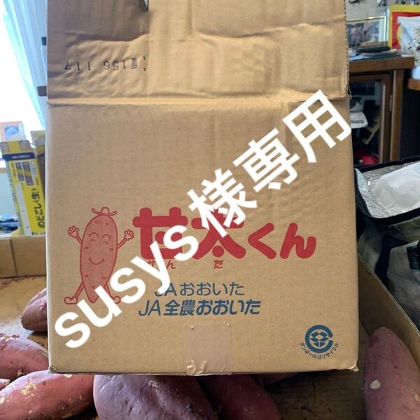 甘太くんC大 20kg