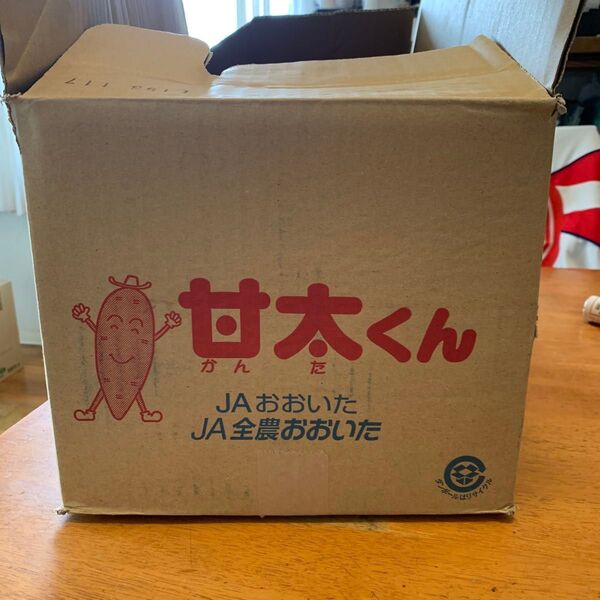 甘太くんC大33