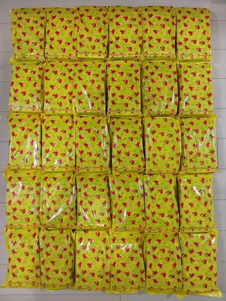 ポケモンカード テラスタルフェスex 300パック ポケセン産 未開封