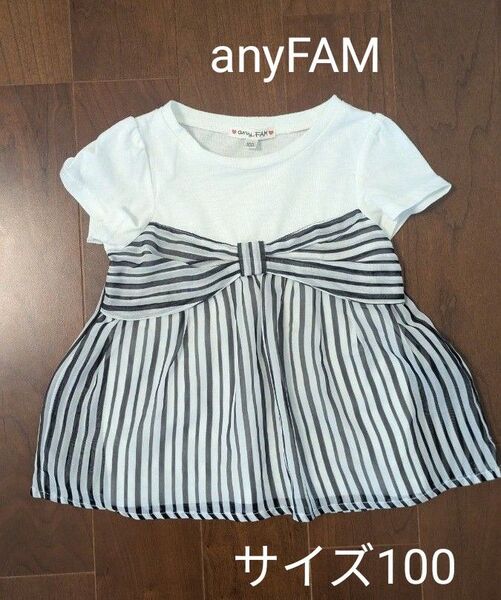 anyFAM ボーダーシフォン 半袖Tシャツ
