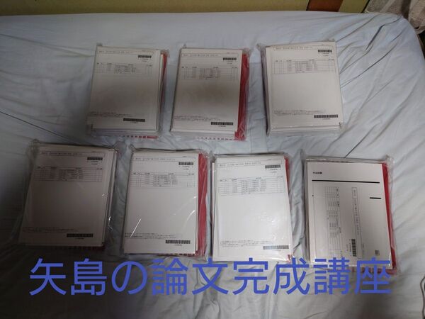 LEC 司法試験 矢島の論文完成講座 2025年合格目標 7科目 DVD付