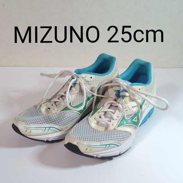 MIZUNO ランニングシューズ 25.0cm